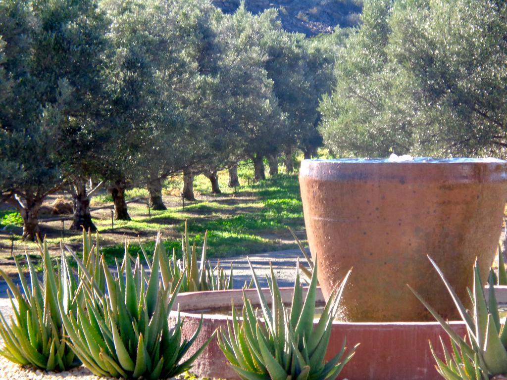 Villa Olive Grove Guest Farm Beaufort West Exterior foto